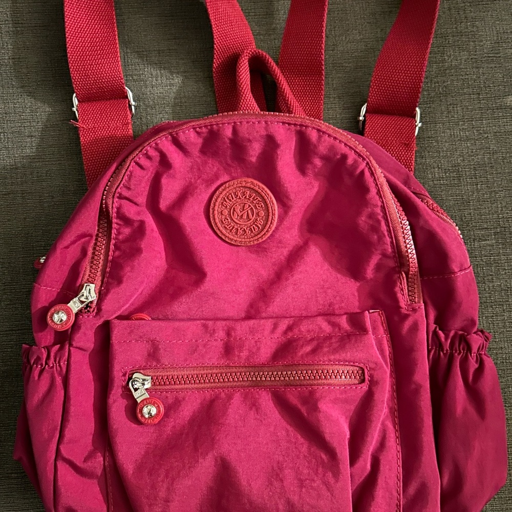 Bagpack - Picture 3 of 5